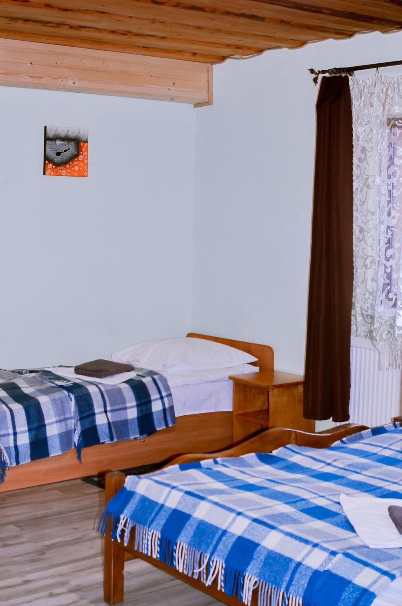 Guest House Mandrivnyi Rooms&Apartments Jassinja Exterior foto